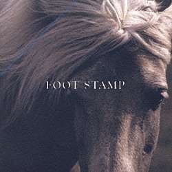 ＦＯＯＴ　ＳＴＡＭＰ「流星」