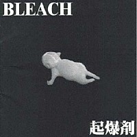 Ｂｌｅａｃｈ「 起爆剤」