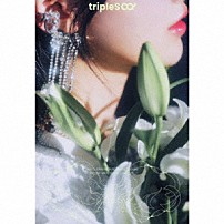 ｔｒｉｐｌｅＳ 「ｔｒｉｐｌｅＳ　∞！　＜アンタイトル＞」