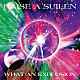ＲＡＩＳＥ　Ａ　ＳＵＩＬＥＮ「ＷＨＡＴ　ＡＮ　ＥＸＰＬＯＳＩＯＮ」