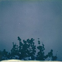 君島大空「 花落知多少」