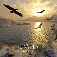 ＬＵＮＡ　ＳＥＡ「 ＦＯＲＥＶＥＲ」