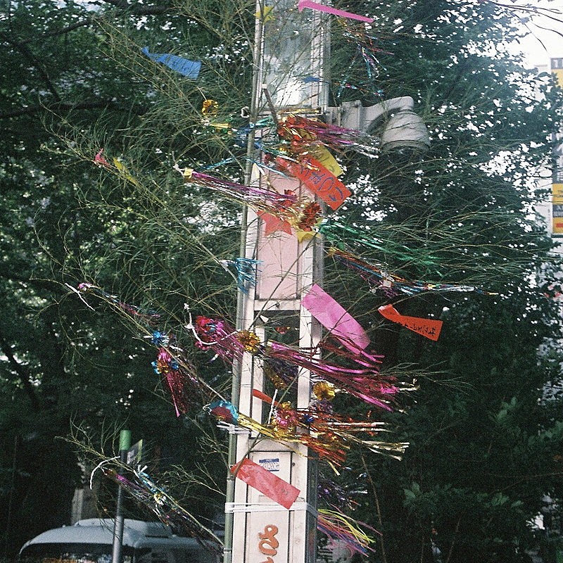 「皆川溺 配信シングル「ラッキー」」3枚目/3