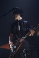 BOOM BOOM SATELLITES『FRONT CHAPTER - THE FINAL SESSION - LAY YOUR HANDS ON ME SPECIAL LIVE』インタビュー