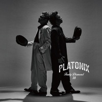 『PLATONIX』