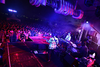 ZAZEN BOYS 【BAYCAMP 2012】ライブ写真