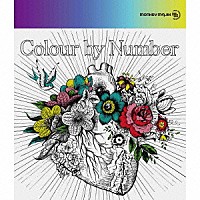 Colour by Number