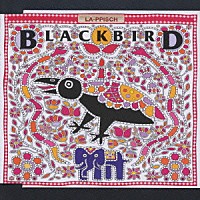 ＬＡ－ＰＰＩＳＣＨ「 ＢＬＡＣＫＢＩＲＤ」