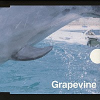 ＧＲＡＰＥＶＩＮＥ「 風待ち」