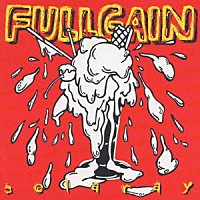 ＦＵＬＬＧＡＩＮ「 ソーラレイ」