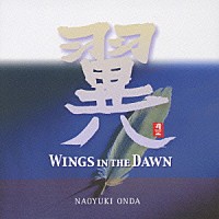 恩田直幸「 翼　ＷＩＮＧＳ　ＩＮ　ＴＨＥ　ＤＡＷＮ」