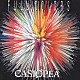 ＣＡＳＩＯＰＥＡ「ＦＵＬＬ　ＣＯＬＯＲＳ」