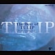 チューリップ「ＴＨＥ　ＢＥＳＴ　ＯＦ　ＴＵＬＩＰ　／」