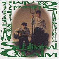 ＳＵＢＬＩＭＩＮＡＬ　ＣＡＬＭ「 ＳＵＢＬＩＭＩＮＡＬ　ＣＡＬＭ」