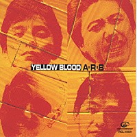 ＡＲＢ「 ＹＥＬＬＯＷ　ＢＬＯＯＤ」