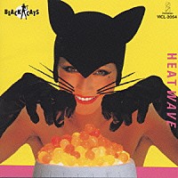 ＢＬＡＣＫ　ＣＡＴＳ「 ＨＥＡＴ　ＷＡＶＥ」