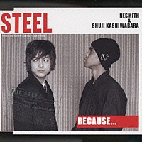 ＳＴＥＥＬ「 ＢＥＣＡＵＳＥ．．．」