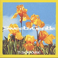 Ｔ－ＳＱＵＡＲＥ「 Ｓｗｅｅｔ　＆　Ｇｅｎｔｌｅ」