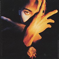 テレンス・トレント・ダービー「 Ｎ．Ｆ．Ｎ．Ｆ．」