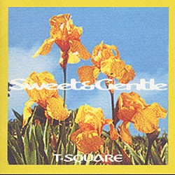 Ｔ－ＳＱＵＡＲＥ「Ｓｗｅｅｔ　＆　Ｇｅｎｔｌｅ」