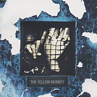 ＴＨＥ　ＹＥＬＬＯＷ　ＭＯＮＫＥＹ「 ＳＩＣＫＳ」