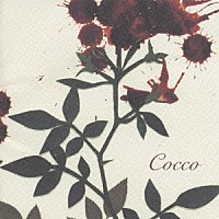 Ｃｏｃｃｏ「 サングローズ」