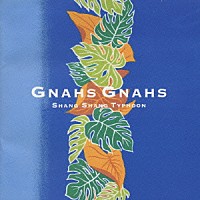 上々颱風「 Ｇｎａｈｓ　Ｇｎａｈｓ」