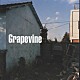 ＧＲＡＰＥＶＩＮＥ「スロウ」