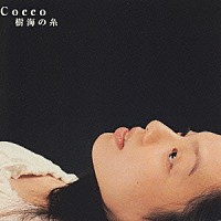 Ｃｏｃｃｏ「 樹海の糸」