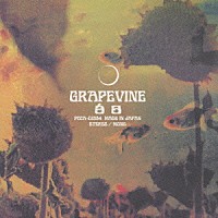 ＧＲＡＰＥＶＩＮＥ「 白日」