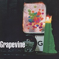 ＧＲＡＰＥＶＩＮＥ「 光について」