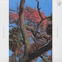 ＰＩＮＫ　ＣＬＯＵＤ「 ＰＬＡＮＴ　ＢＬＥＮＤ」