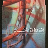 ＴＭ　ＮＥＴＷＯＲＫ「 Ｇｅｔ　Ｗｉｌｄ」