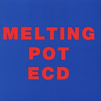 ＥＣＤ「 ＥＣＤ／ＭＥＬＴＩＮＧ　ＰＯＴ」