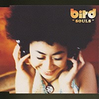 ｂｉｒｄ「 ＳＯＵＬＳ」