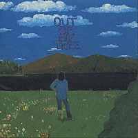 藤井尚之「 Ｏｕｔ　ｏｆ　Ｍｙ　Ｔｒｅｅ」