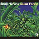 春名正治「Ａｓｉａｎ　Ｆｏｒｅｓｔ」