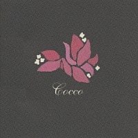 Ｃｏｃｃｏ「 ブーゲンビリア」