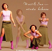 宇多田ヒカル「 Ｗａｉｔ＆Ｓｅｅ～リスク～」