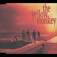 ＴＨＥ　ＹＥＬＬＯＷ　ＭＯＮＫＥＹ「 聖なる海とサンシャイン」