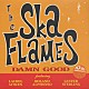 ＴＨＥ　ＳＫＡ　ＦＬＡＭＥＳ「ＤＡＭＮ　ＧＯＯＤ」