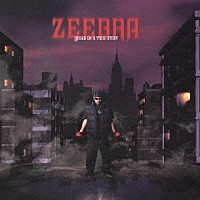 ＺＥＥＢＲＡ「 ＢＡＳＥＤ　ＯＮ　Ａ　ＴＲＵＥ　ＳＴＯＲＹ」