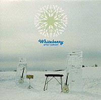 Ｗｈｉｔｅｂｅｒｒｙ「 アフタースクール」