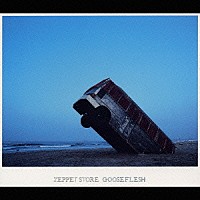 ＺＥＰＰＥＴ　ＳＴＯＲＥ「 ＧＯＯＳＥＦＬＥＳＨ」