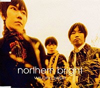 ＮＯＲＴＨＥＲＮ　ＢＲＩＧＨＴ「 ＷＩＬＤＦＬＯＷＥＲ」