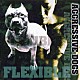 ＡＧＧＲＥＳＳＩＶＥ　ＤＯＧＳ「ＦＬＥＸＩＢＬＥ」