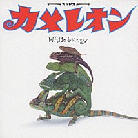 Ｗｈｉｔｅｂｅｒｒｙ「 カメレオン」