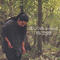 宗次郎「 愛しの森　ａ－ｍｏｌｌ」