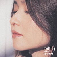 辛島美登里「 ｍｅｌｔｉｎｇ　～心の橋、涙のかけら～」