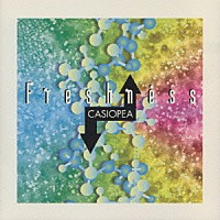 ＣＡＳＩＯＰＥＡ「 ＦＲＥＳＨＮＥＳＳ」